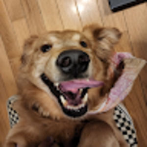 Meet your Posher, Tom